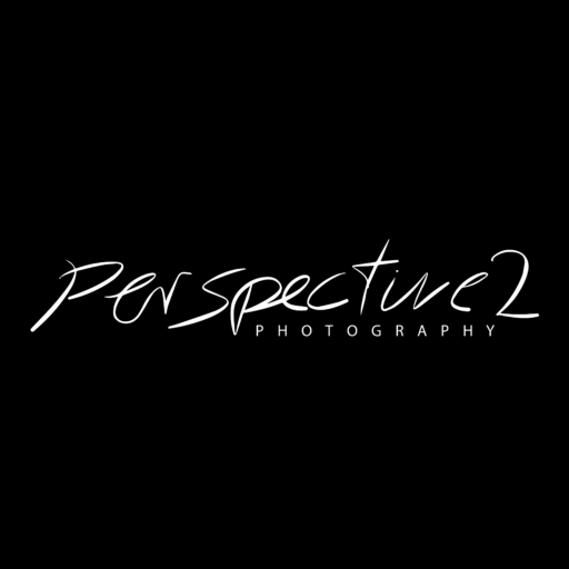 perspective2 Icon